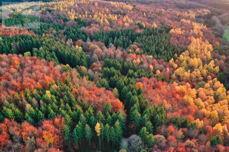 19Nov19-Eppelborn-33